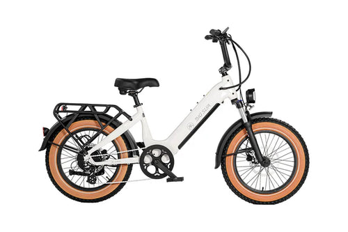 AIMA Big Sur Sport Fat Tire E-Bicycle 20